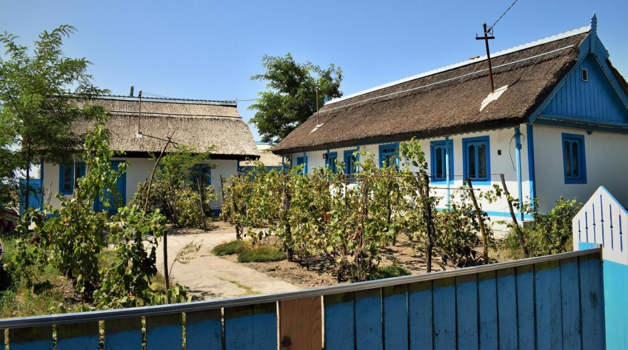 Hotel Casa Calin Crișan Zewnętrze zdjęcie