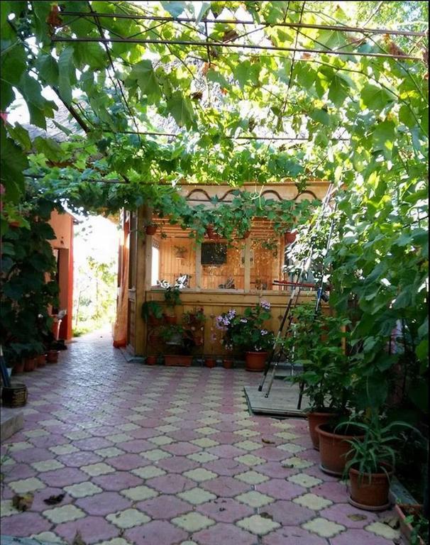 Hotel Casa Calin Crișan Zewnętrze zdjęcie